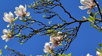 30 maart - 20 mei 2020: Tijd voor een nieuw begin